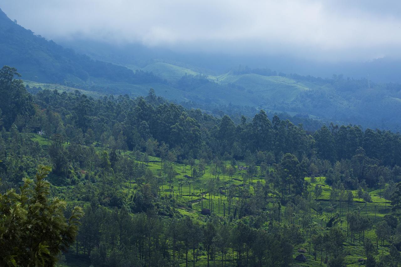Mount View Munnar Hotel Kültér fotó